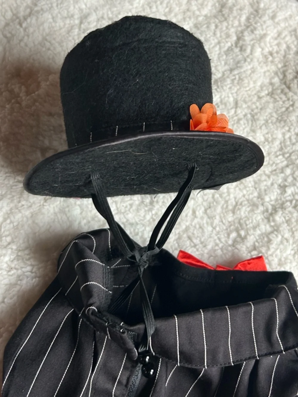 Day of the Dead Dog costume L